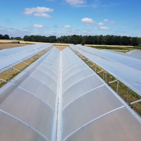 Haygrove Polythene