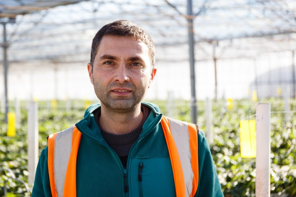 Haygrove Riverside(Риверсайд)