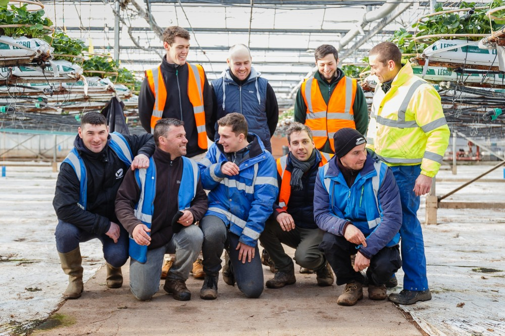 Haygrove Newent(Ньюэнт)