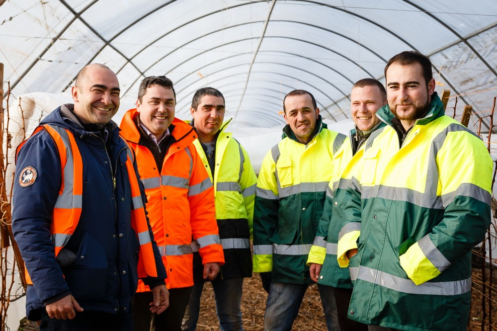 Haygrove Ledbury(Ледбери)