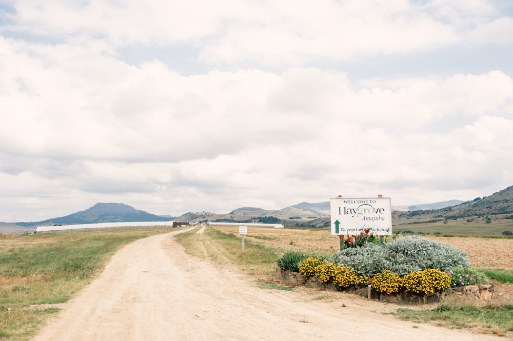 Haygrove Amajuba(Амаджуба)