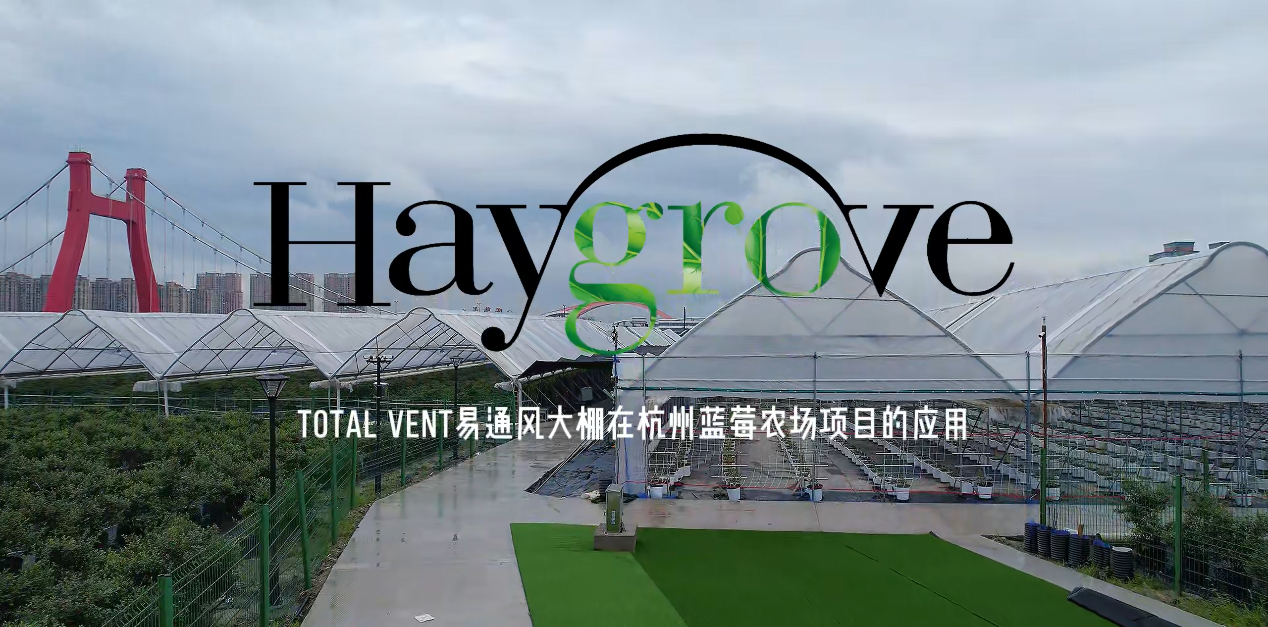客户故事 | TotalVent棚体在华东蓝莓采摘园的应用