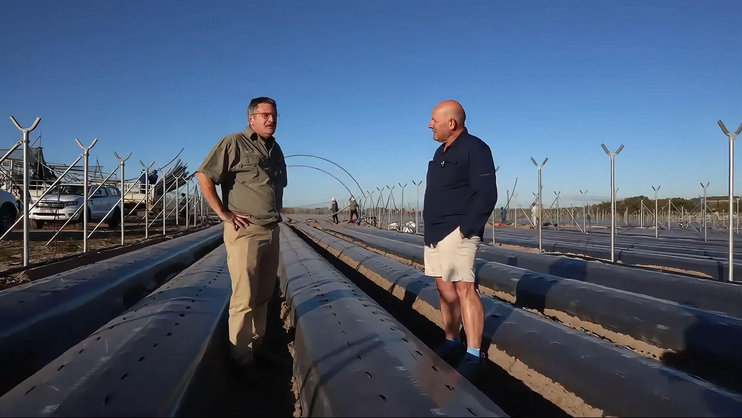 客户故事 | 草莓农场的智慧选择